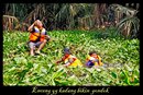 bersih sampah