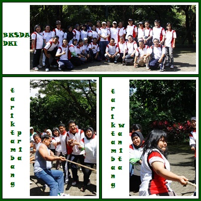 gambar1