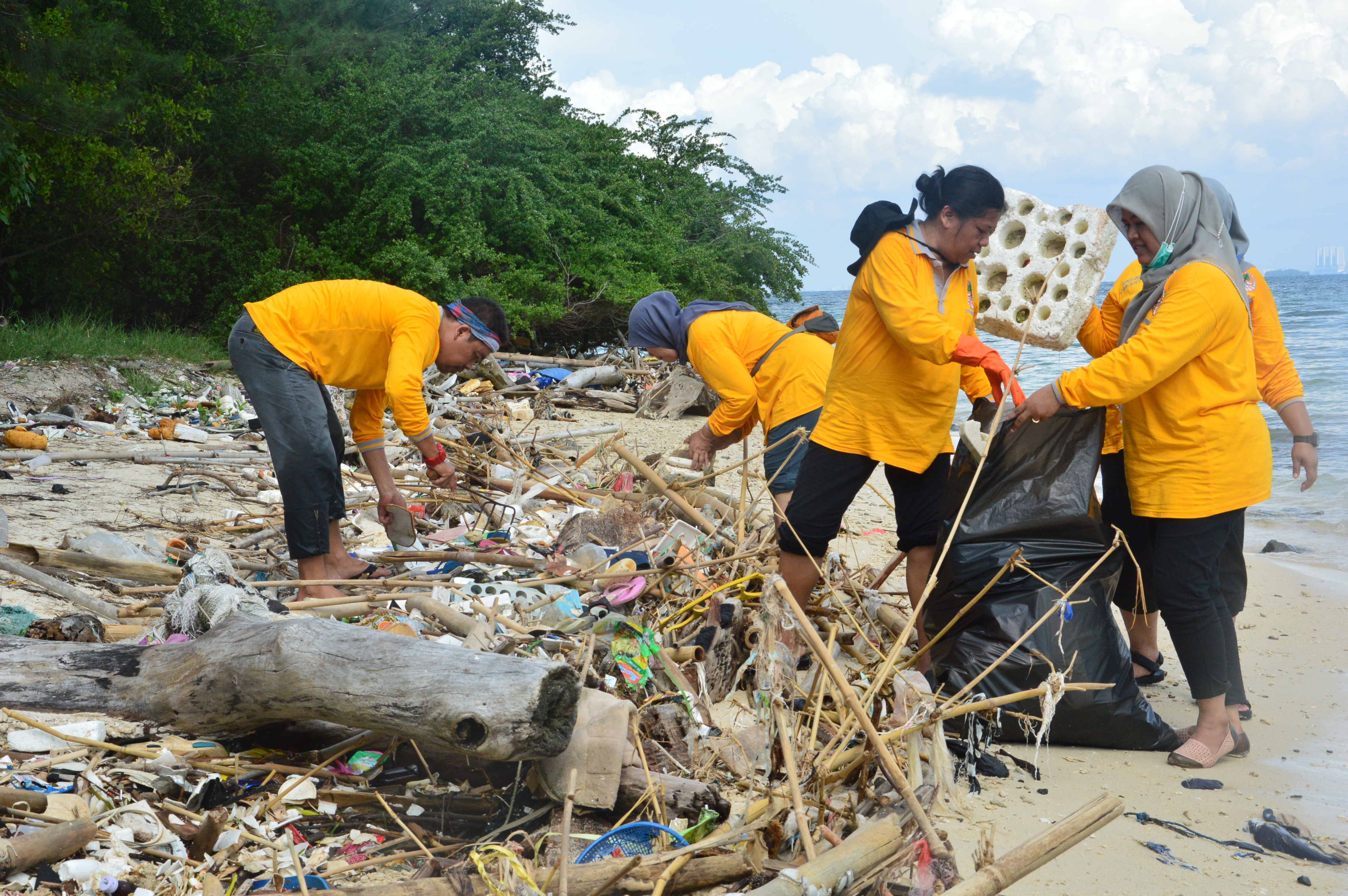 cinta habitat